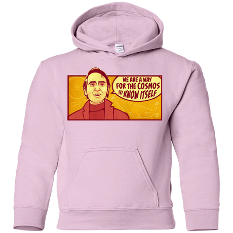 Sweatshirts Light Pink / YS SAGAN Cosmos Youth Hoodie