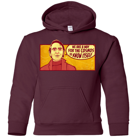 Sweatshirts Maroon / YS SAGAN Cosmos Youth Hoodie