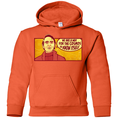 Sweatshirts Orange / YS SAGAN Cosmos Youth Hoodie