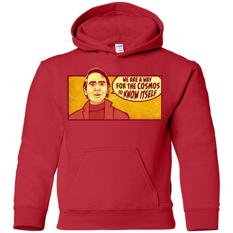Sweatshirts Red / YS SAGAN Cosmos Youth Hoodie