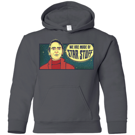 Sweatshirts Charcoal / YS SAGAN Star Stuff Youth Hoodie