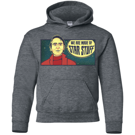 Sweatshirts Dark Heather / YS SAGAN Star Stuff Youth Hoodie