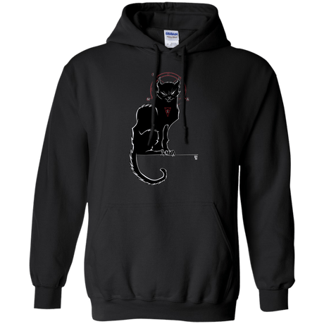 Sweatshirts Black / Small SALEM Pullover Hoodie