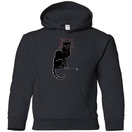 Sweatshirts Black / YS SALEM Youth Hoodie