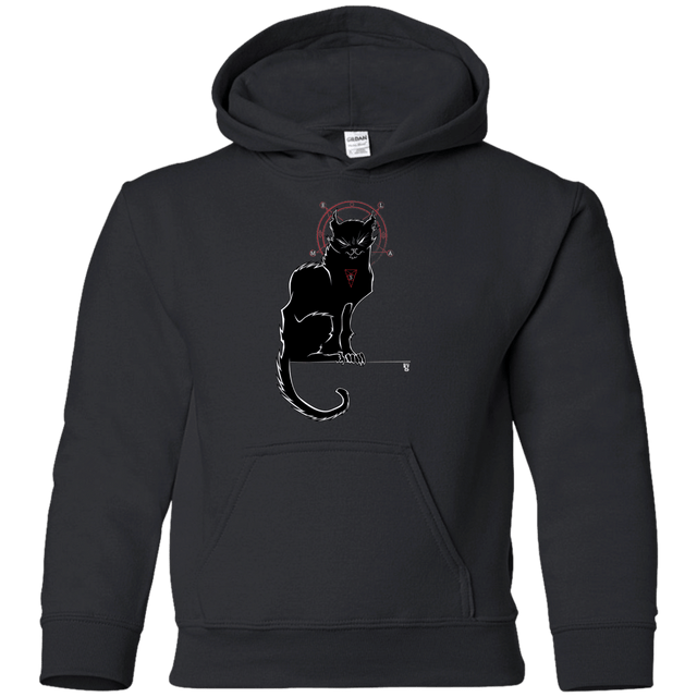 Sweatshirts Black / YS SALEM Youth Hoodie