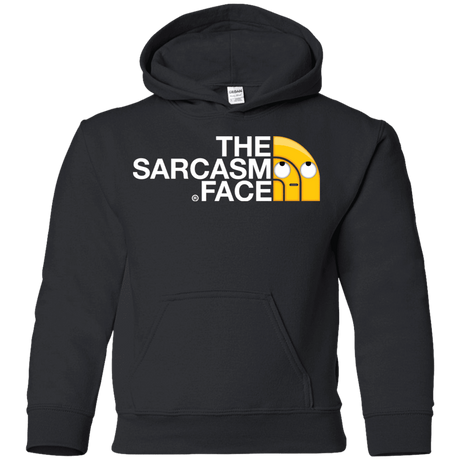 Sweatshirts Black / YS Sarcasm Face Youth Hoodie