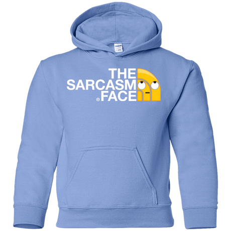 Sweatshirts Carolina Blue / YS Sarcasm Face Youth Hoodie