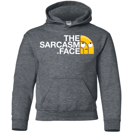 Sweatshirts Dark Heather / YS Sarcasm Face Youth Hoodie