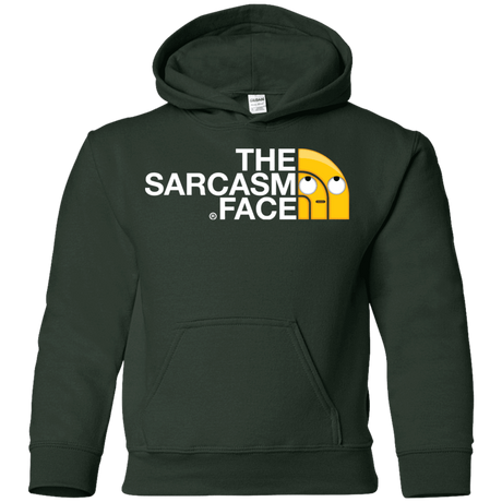 Sweatshirts Forest Green / YS Sarcasm Face Youth Hoodie