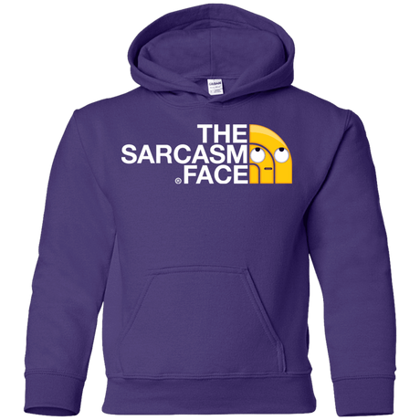 Sweatshirts Purple / YS Sarcasm Face Youth Hoodie