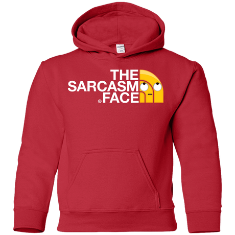 Sweatshirts Red / YS Sarcasm Face Youth Hoodie