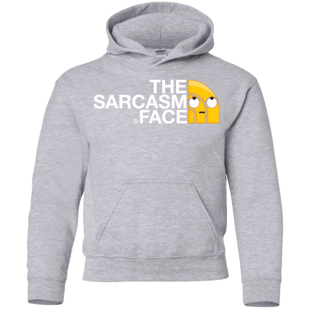 Sweatshirts Sport Grey / YS Sarcasm Face Youth Hoodie