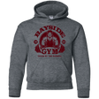 Sweatshirts Dark Heather / YS SAVED BY THE BARBELL Youth Hoodie