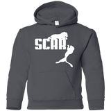 Sweatshirts Charcoal / YS Scar! Youth Hoodie