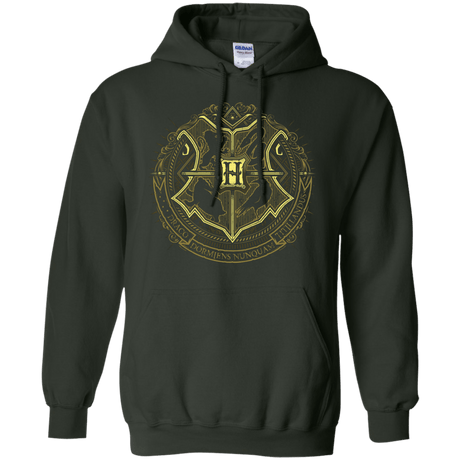 Sweatshirts Forest Green / Small School of Magic Pullover Hoodie