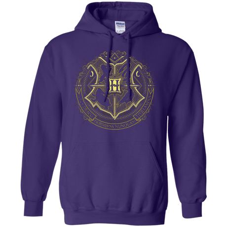 Sweatshirts Purple / Small School of Magic Pullover Hoodie