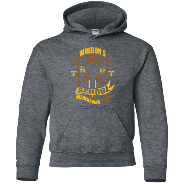 Sweatshirts Dark Heather / YS School of Misbehaving Youth Hoodie