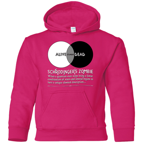 Sweatshirts Heliconia / YS Schrödinger's Zombie Youth Hoodie