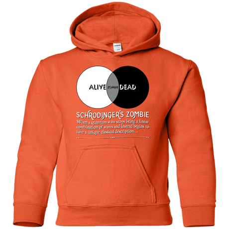 Sweatshirts Orange / YS Schrödinger's Zombie Youth Hoodie