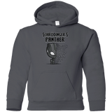 Sweatshirts Charcoal / YS Schrodingers Panther Youth Hoodie