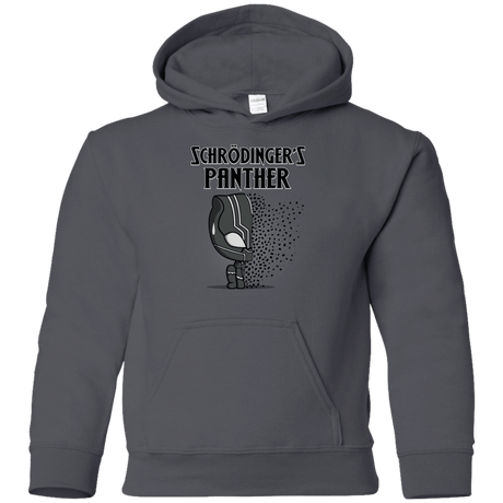 Sweatshirts Charcoal / YS Schrodingers Panther Youth Hoodie