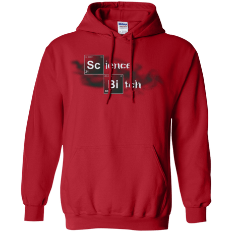 Sweatshirts Red / Small Science Bitch Pullover Hoodie