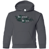 Sweatshirts Charcoal / YS Science Bitch Youth Hoodie