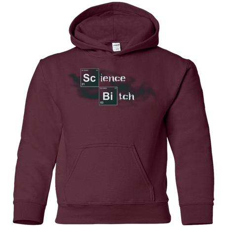 Sweatshirts Maroon / YS Science Bitch Youth Hoodie