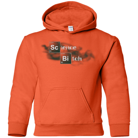 Sweatshirts Orange / YS Science Bitch Youth Hoodie