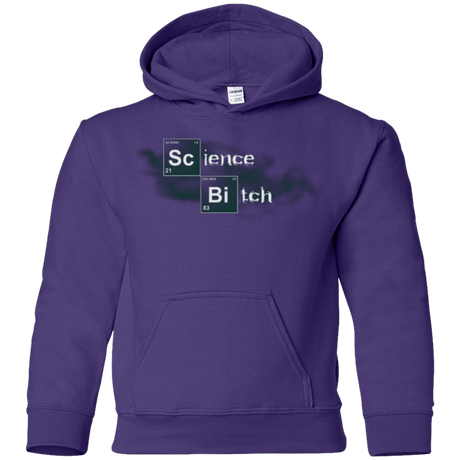 Sweatshirts Purple / YS Science Bitch Youth Hoodie