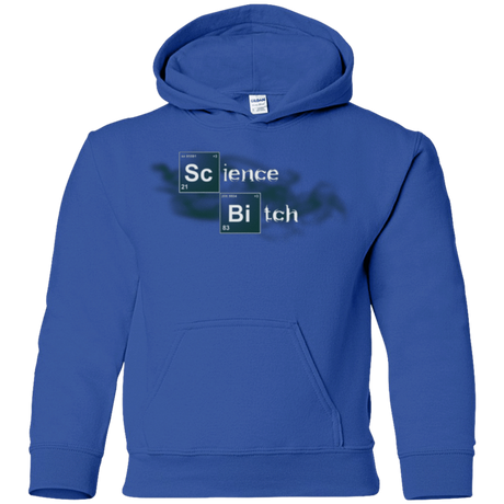 Sweatshirts Royal / YS Science Bitch Youth Hoodie