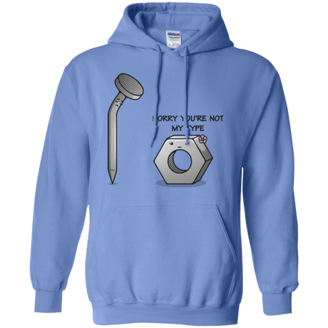 Sweatshirts Carolina Blue / Small Screw this Pullover Hoodie
