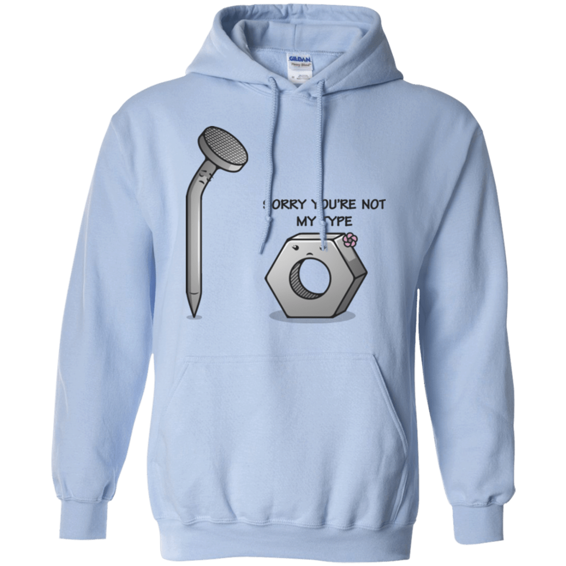 Sweatshirts Light Blue / Small Screw this Pullover Hoodie