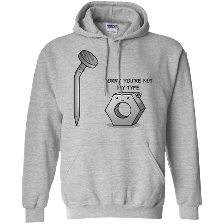 Sweatshirts Sport Grey / Small Screw this Pullover Hoodie