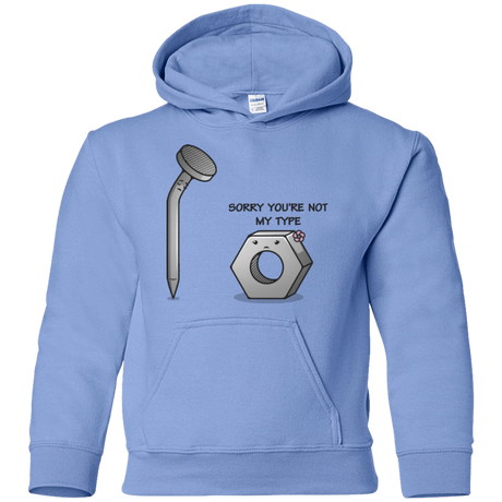 Sweatshirts Carolina Blue / YS Screw this Youth Hoodie