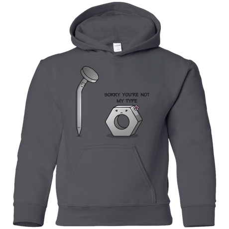 Sweatshirts Charcoal / YS Screw this Youth Hoodie