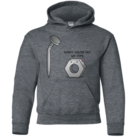 Sweatshirts Dark Heather / YS Screw this Youth Hoodie