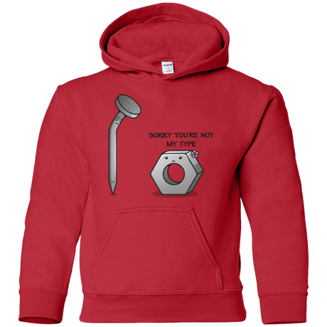 Sweatshirts Red / YS Screw this Youth Hoodie