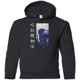 Sweatshirts Black / YS Section 9 Youth Hoodie