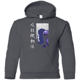 Sweatshirts Charcoal / YS Section 9 Youth Hoodie