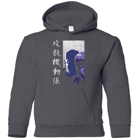 Sweatshirts Charcoal / YS Section 9 Youth Hoodie