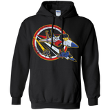 Sweatshirts Black / Small Seekers Conquest Pullover Hoodie