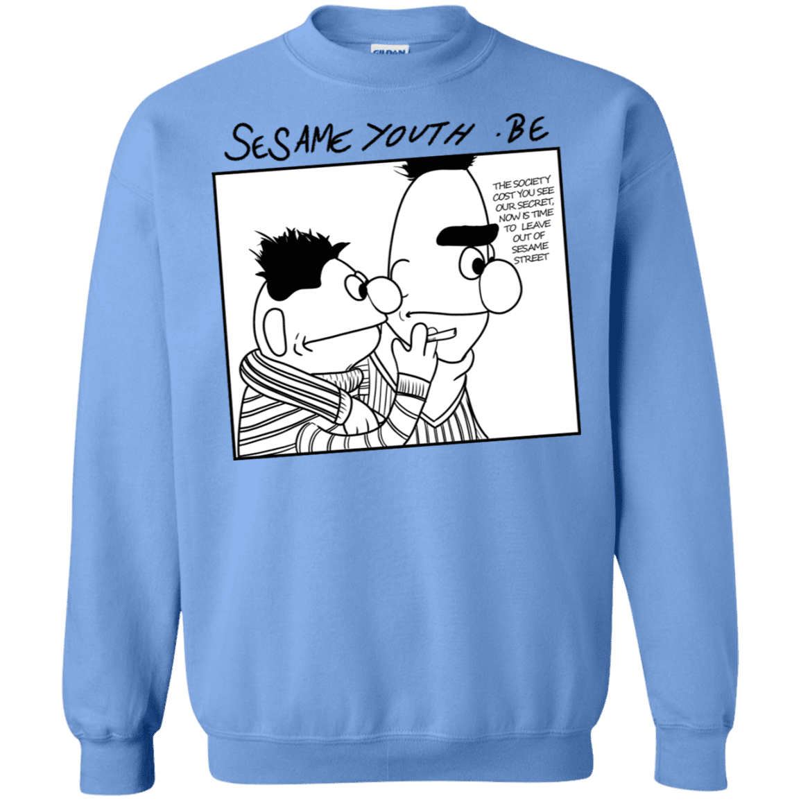 Sweatshirts Carolina Blue / S Sesame Youth Crewneck Sweatshirt