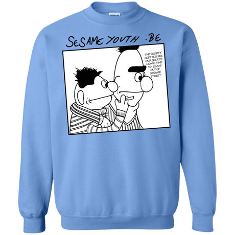 Sweatshirts Carolina Blue / S Sesame Youth Crewneck Sweatshirt