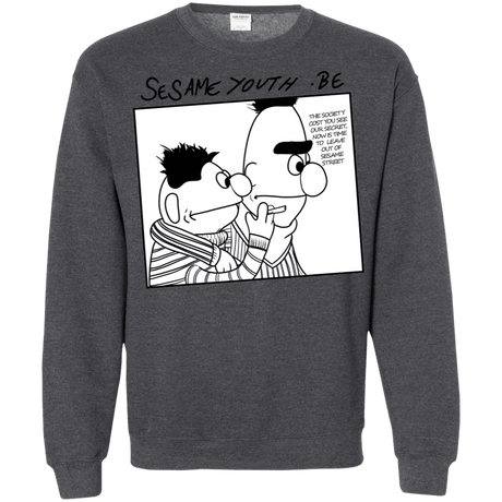 Sweatshirts Dark Heather / S Sesame Youth Crewneck Sweatshirt