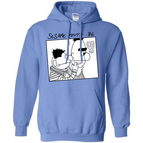 Sweatshirts Carolina Blue / S Sesame Youth Pullover Hoodie