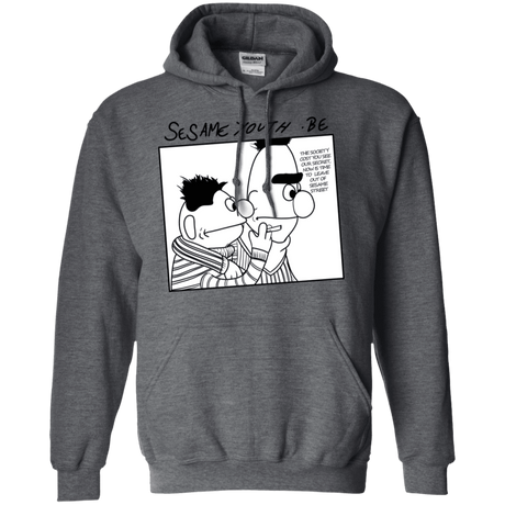 Sweatshirts Dark Heather / S Sesame Youth Pullover Hoodie