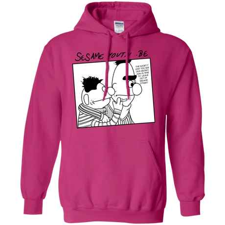 Sweatshirts Heliconia / S Sesame Youth Pullover Hoodie