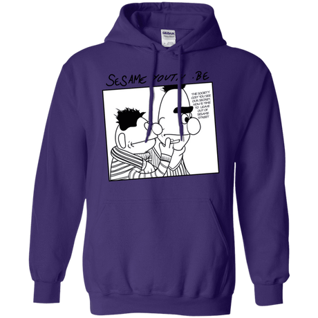 Sweatshirts Purple / S Sesame Youth Pullover Hoodie