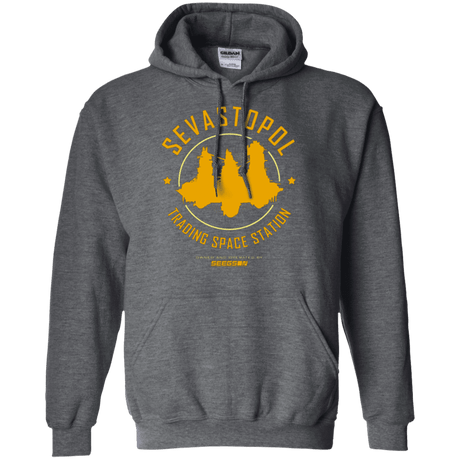 Sweatshirts Dark Heather / Small Sevastopol Station Pullover Hoodie